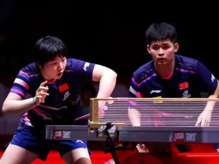 多哈世乒赛：动漫组合3-0横扫法国组合，混双16强已经产生五席
