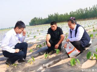 百合如她——记平原农商银行炉坊支行客户经理于华
