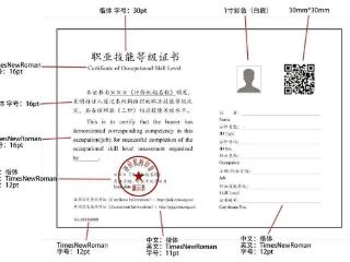 人社小课堂丨职业技能等级认定机构目录哪里查？