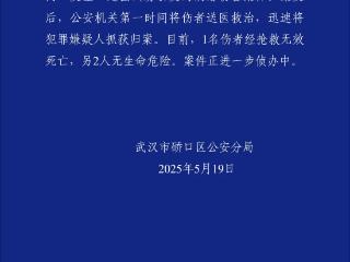 武汉发生一起故意伤害案致1死2伤，嫌疑人被抓获