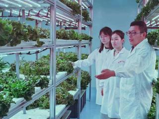 340亿品牌价值背后的职教密码：潍坊工程职业学院浇灌江北花都