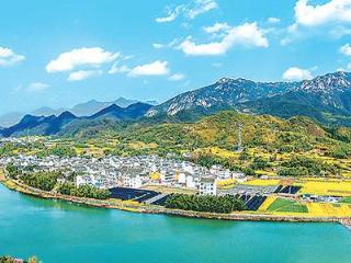 绿色循环链扮靓美丽乡村