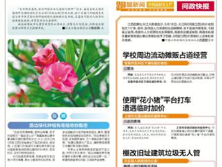 问政快报（2025.05.20）
