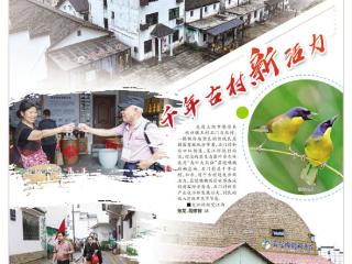 千年古村新活力（图）