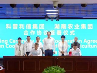 8000万！新五丰与科普利信合资建立育种场：中国或将终结大规模跨国引种模式【兆丰华特约·巨头猪事】