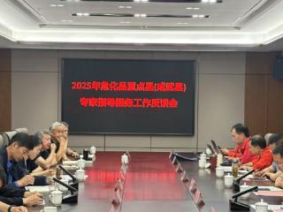 危化品重点县专家指导服务反馈会在菏泽市成武县召开