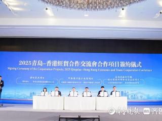 签约项目11个！2025青岛-香港经贸合作交流会举行