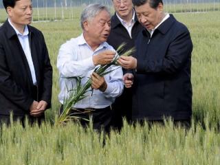 学习进行时｜是贡献，也是奉献——习近平总书记和河南的故事