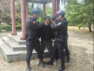 乳山公安：快侦快破，凡“盗”必抓