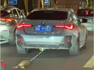海口一宝马车当街拖行虐猫？警方：没发现虐猫行为，系意外挂到车上