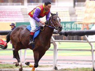 2025年迪庆·香格里拉赛马会将于5月31日启幕