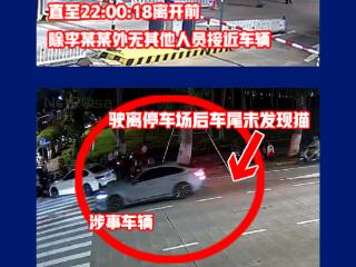 海口一车辆当街拖行虐猫？警方通报：系意外，未发现故意伤害行为