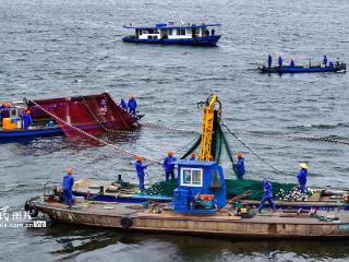 浙江淳安：千岛湖开启夏季巨网捕鱼作业