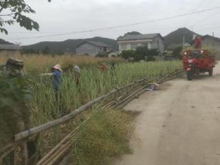 四川省剑阁县金仙镇玉台村：情系困难群众 主动担当作为