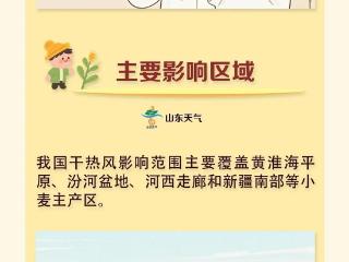 山东天气：冬麦区基本无有效降水 一图读懂干热风灾害如何防御