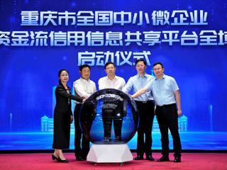 重庆举办全国中小微企业资金流信用信息共享平台全域启动仪式