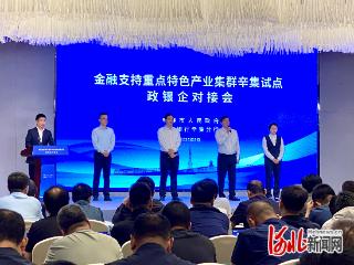 辛集市召开“金融支持重点特色产业集群”政银企对接会