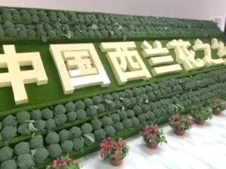 盐城响水：一颗西兰花如何变成“致富花”？