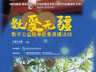 非遗苏裱焕新颜 数字技术助力古籍修复与保护