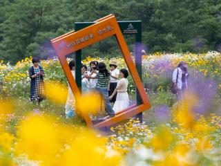 五月花海醉游人 农旅融合促振兴