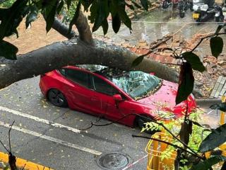 陶琳：特斯拉的安全经受住了各种实战考验