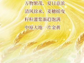 小满丨万物向阳处 小得盈满时