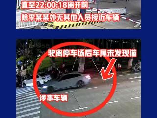 猫和牵引绳的颜色出现差异 网传海口汽车拖猫为意外