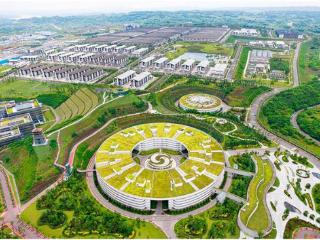 透视泸州老窖2024年财报：讲好浓香700年品牌故事 品牌价值持续提升