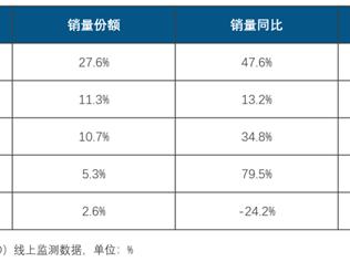 中国儿童智能手表TOP5新鲜出炉 小天才凭啥称王