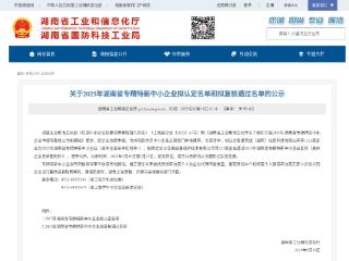 益阳桃江：专精特新中小企业助力高质量发展
