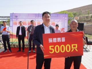 扬榆协作：5000只扬州鹅落户榆林横山