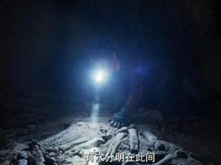 《护宝寻踪》首播好评如潮，富大龙令观众入坑，央视这次押对宝！