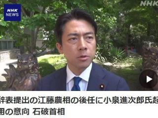 因争议言论日本农相递交辞呈 石破茂拟让小泉进次郎接任
