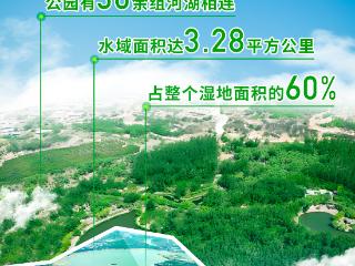 碳路中国丨黄土高原上的湿地新貌：63处湿地公园绘生态答卷