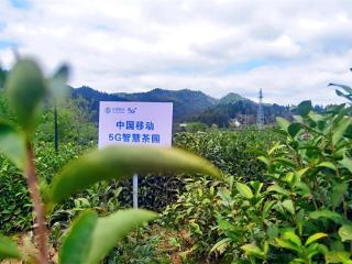 安徽移动科技赋能"她力量"数智护航女性发展