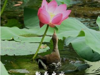 小满！祝你幸福美满