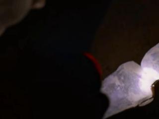 仅播4集！《护宝寻踪》火速登顶，辛柏青让人惊艳！