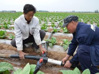 山东烟区：取经“寿光模式”加速转型升级