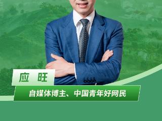 我为河南品牌打call｜应旺：品味“毛尖之都”的诗意栖居