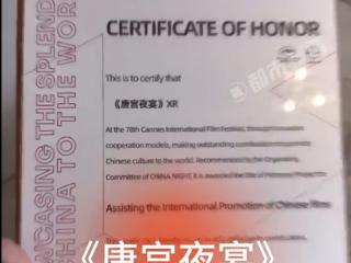 不愧001号“龙标”！中国首部虚拟现实电影《唐宫夜宴》戛纳电影节获奖