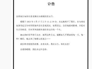 辛柏青说尊重媛媛的意愿丧事从简