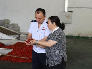 新蒲税务：税惠春风暖企心 法治护航促发展