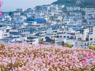 舟山嵊泗花鸟岛“在花鸟，爱的恰恰好”520浪漫企划圆满落幕
