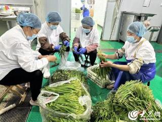 潍坊寒亭开元街道小水饺包出乡村振兴“幸福味”
