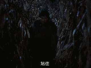 仅播两集，《护宝寻踪》收视第1，口碑出炉，富大龙演技令人惊艳