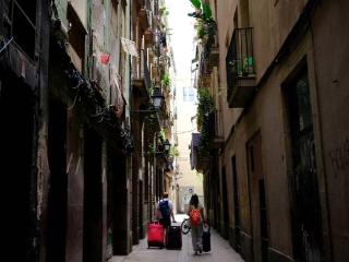 应对“过度旅游” 西班牙寻求短租平台下架6万余套民宅
