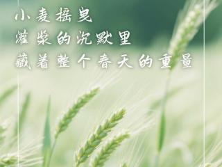 小满未满·万物浪漫