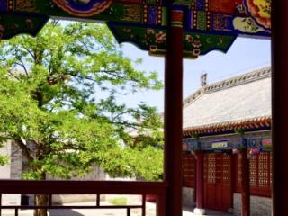 陕西榆林市横山区波罗古堡：中式古韵与绿意光影的静谧和鸣