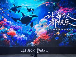 阿里呼吁“重新创业”后：大文娱更名虎鲸文娱，一季度扭亏为盈；AI时代要求自我迭代