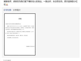 《送你一朵小红花》朱媛媛赵英俊都是因癌症去世：抗癌电影的现实版